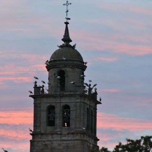 Medinaceli casa rústica